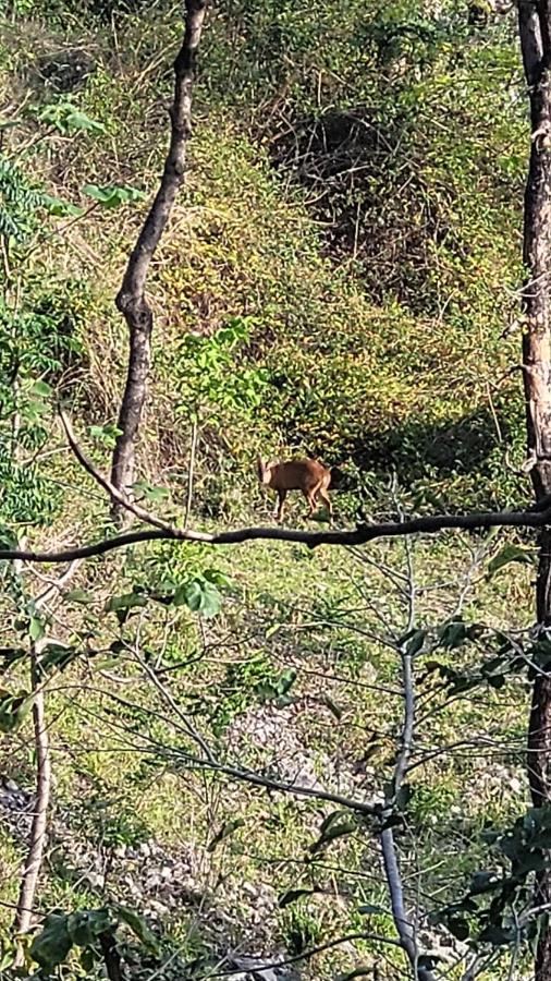 Nivasaa, The Nature'S Home Dehradun Exterior foto